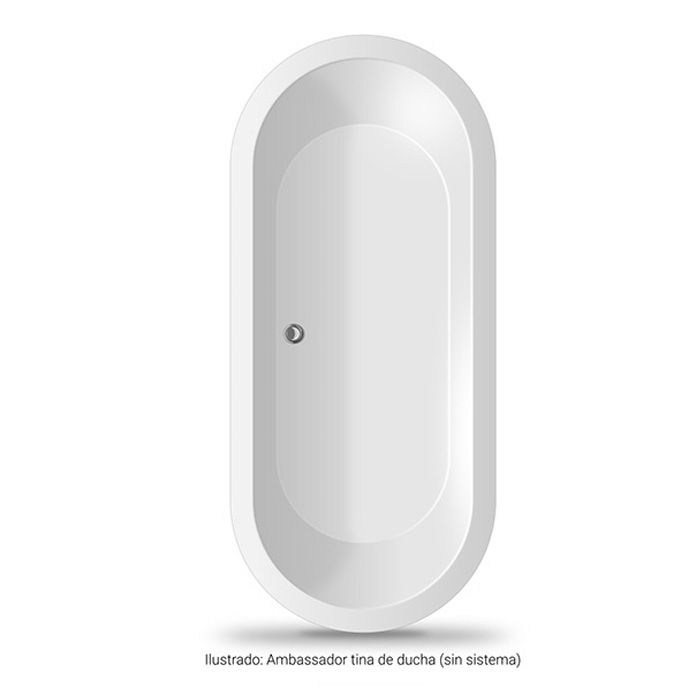 AMBASSADOR - Image 2